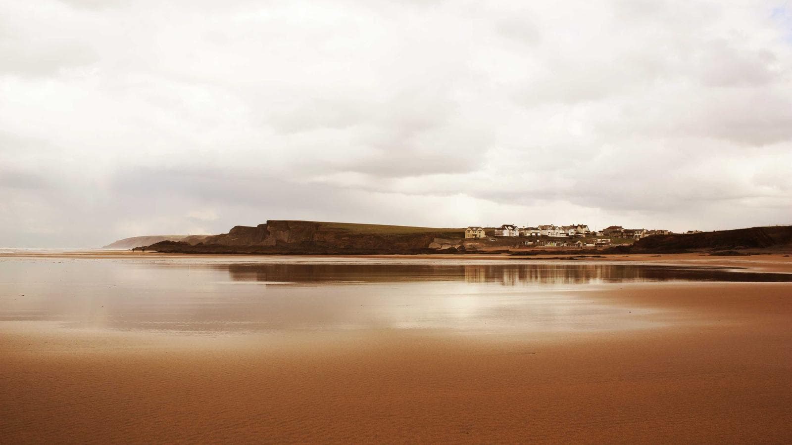Night sky above a quiet forest